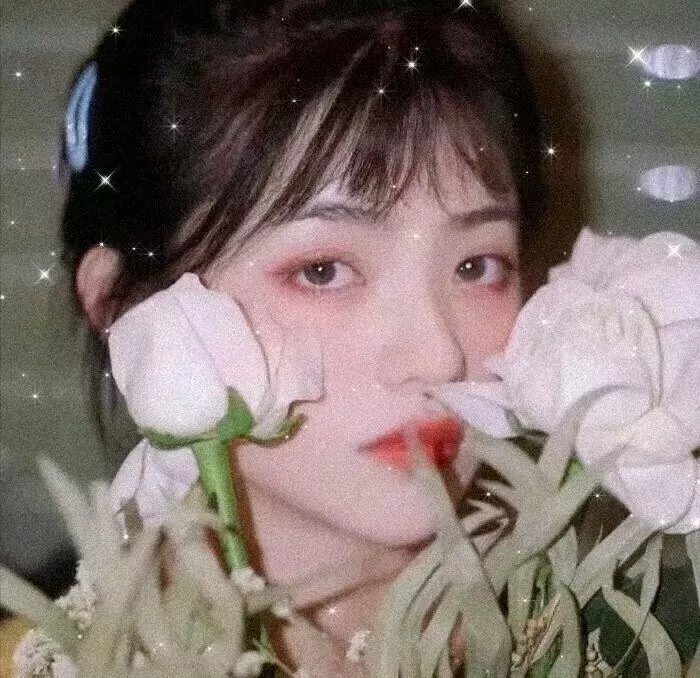 玉美人